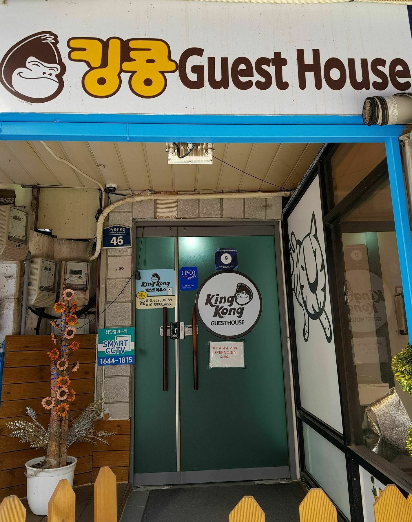 Kingkong Guesthouse Busan Bagian luar foto